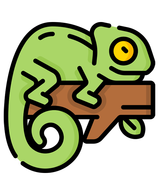 Lizard Gift Cards